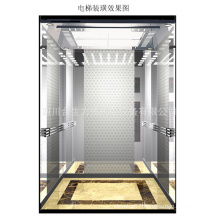 Fujizy Passenger Elevator with High Quality